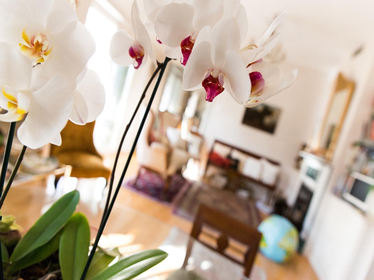 Casa Malena Bed and Breakfast Ασκόλι Πιτσένο Εξωτερικό φωτογραφία